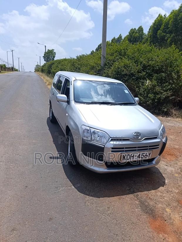 Toyota Probox 1.5 DX 2WD 2017 Silver