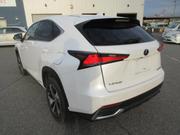 Lexus NX 300 AWD 2018 Pearl for sale