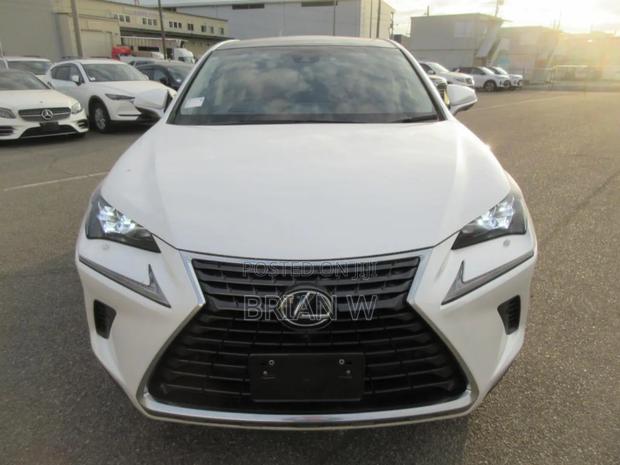 Lexus NX 300 AWD 2018 Pearl