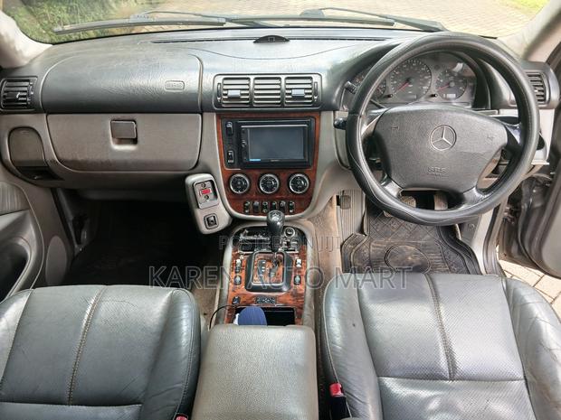 Mercedes-Benz M Class 2003 Gray