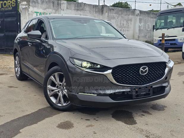 Mazda CX-30 2019 Gray