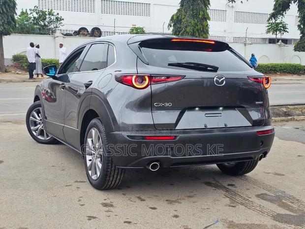 Mazda CX-30 2019 Gray