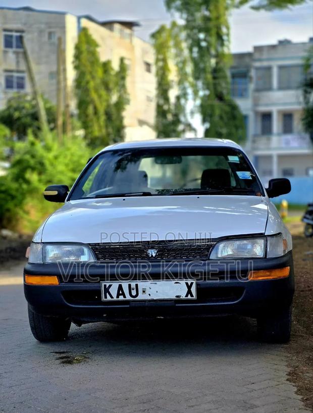 Toyota Corolla Station Wagon 1999 White