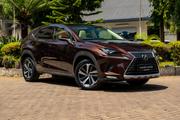 Lexus NX 300 AWD 2018 Brown for sale