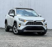 Toyota RAV4 Adventure 2019 Silver for sale