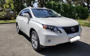 Lexus RX 2011 Pearl for sale