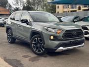 Toyota RAV4 Adventure 2019 Green for sale
