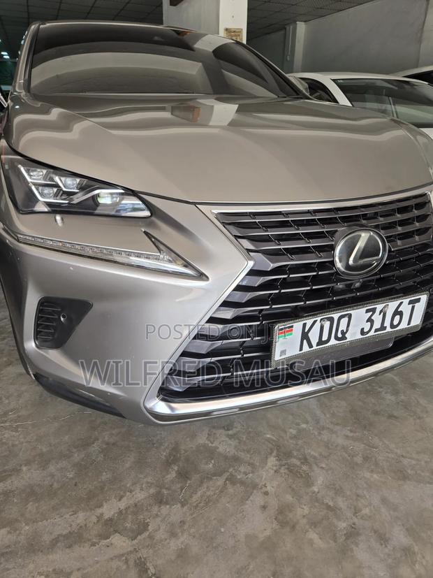 Lexus NX 2018 Gray