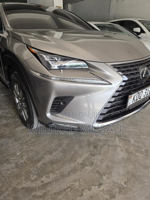 Lexus NX 2018 Gray