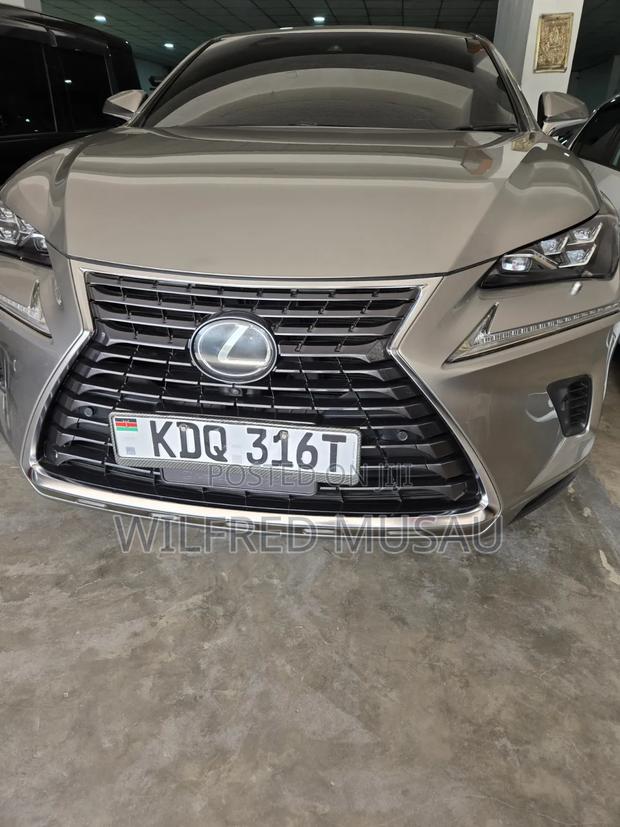 Lexus NX 2018 Gray