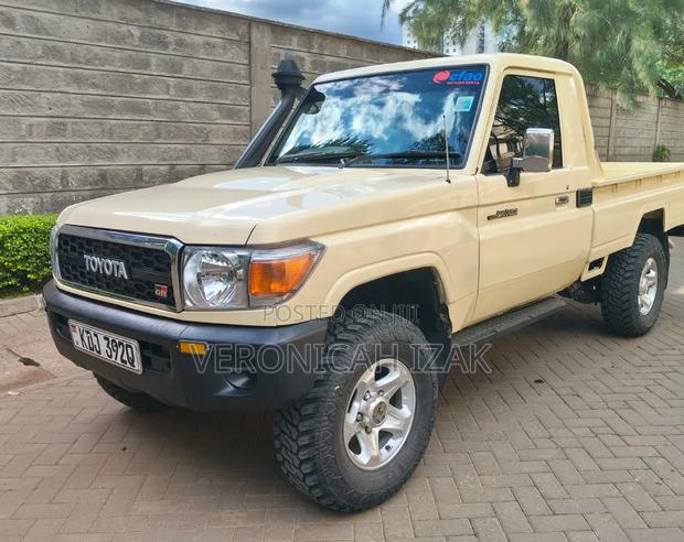 Toyota Land Cruiser 2008 Gold