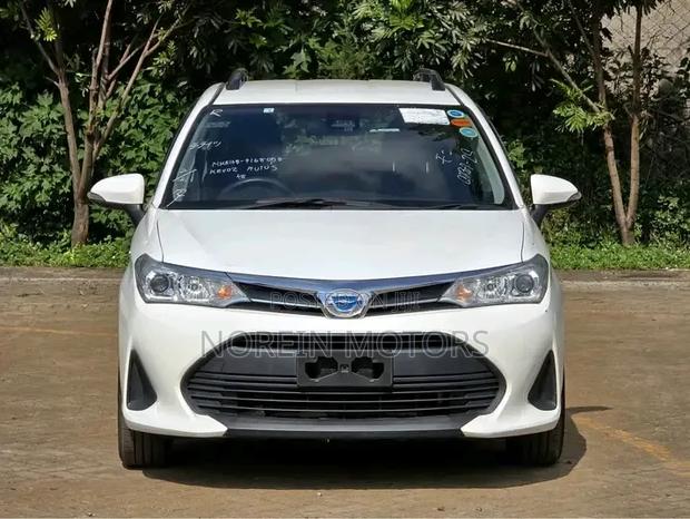 Toyota Corolla Fielder 2019 Pearl