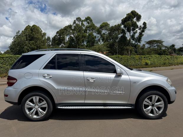 Mercedes-Benz M Class 2010 Silver
