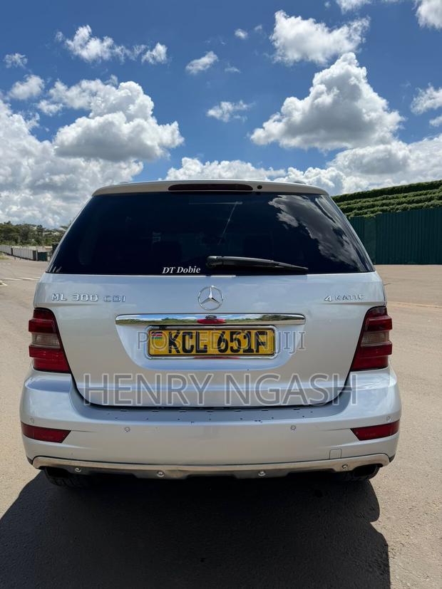 Mercedes-Benz M Class 2010 Silver