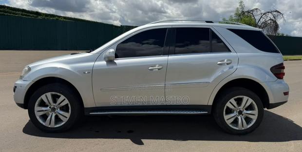 Mercedes-Benz M Class 2010 Silver
