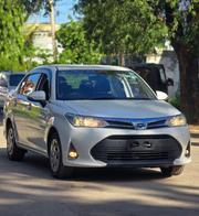 Toyota Axio 1.5 Hybrid G 2WD 2019 Off white for sale