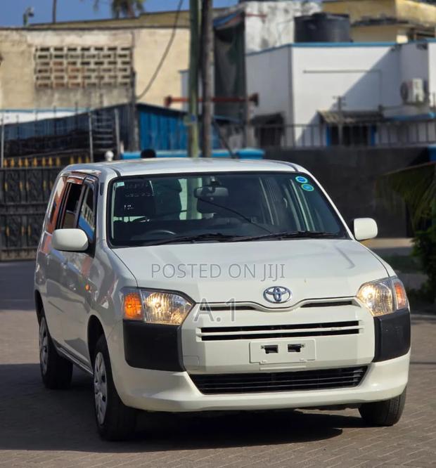 Toyota Succeed 2019 Pearl