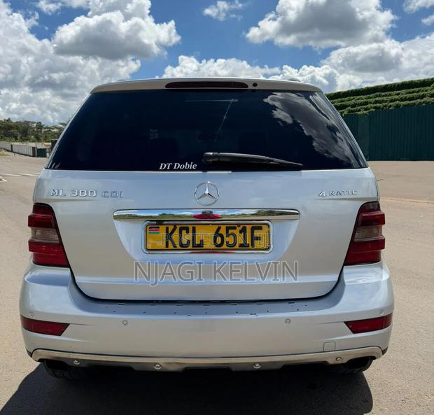 Mercedes-Benz M Class 2010 Silver