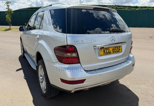 Mercedes-Benz M Class 2010 Silver