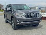 Toyota Land Cruiser Prado 2020 Gray for sale