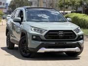 Toyota RAV4 Adventure 2019 Green for sale