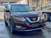 Nissan X-Trail 2.0 Petrol AWD 2019 Brown for sale
