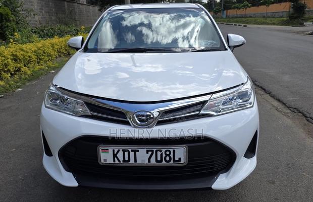Toyota Corolla Fielder 2018 Pearl
