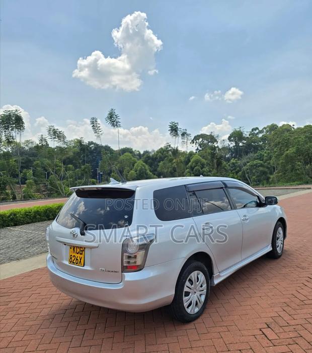 Toyota Corolla Fielder 2009 Silver