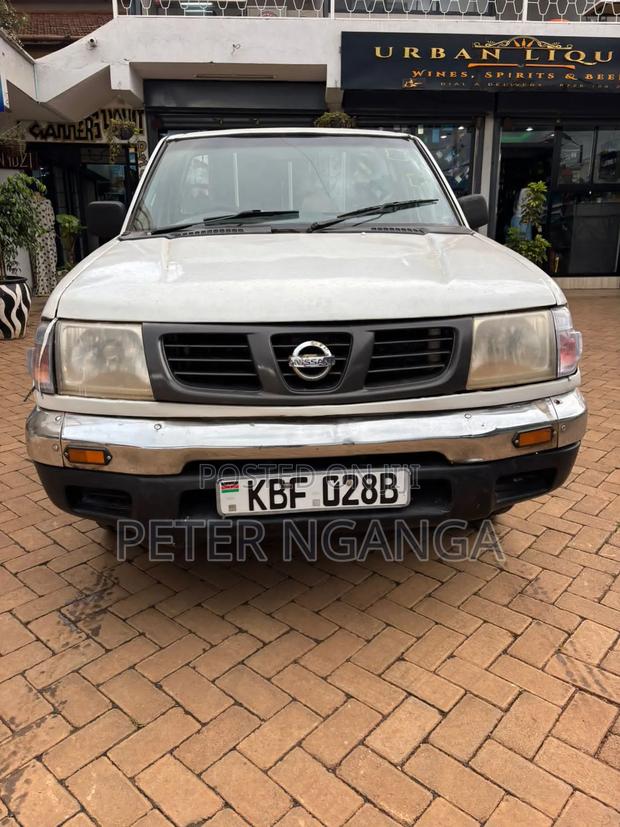 Nissan Hardbody 2002 White