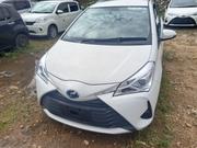 Toyota Vitz 2019 White for sale