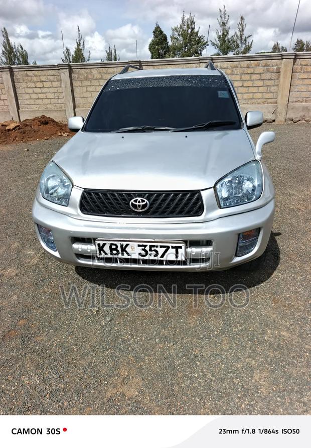 Toyota RAV4 2007 Gray