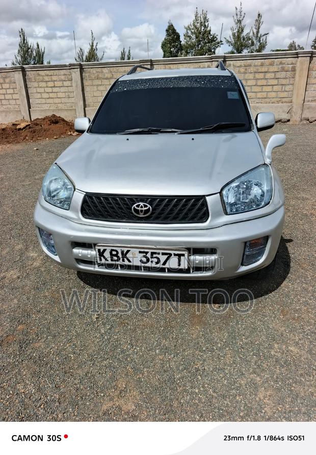 Toyota RAV4 2007 Gray