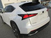Lexus NX 2018 White for sale