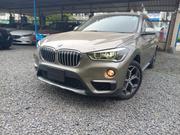 BMW X1 2019 Gray for sale