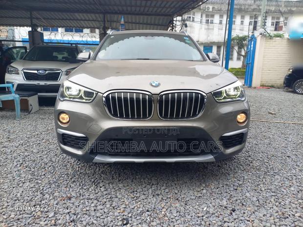 BMW X1 2019 Gray