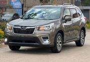 Subaru Forester 2019 Brown for sale