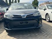 Toyota Corolla Fielder 2019 Matt Black for sale