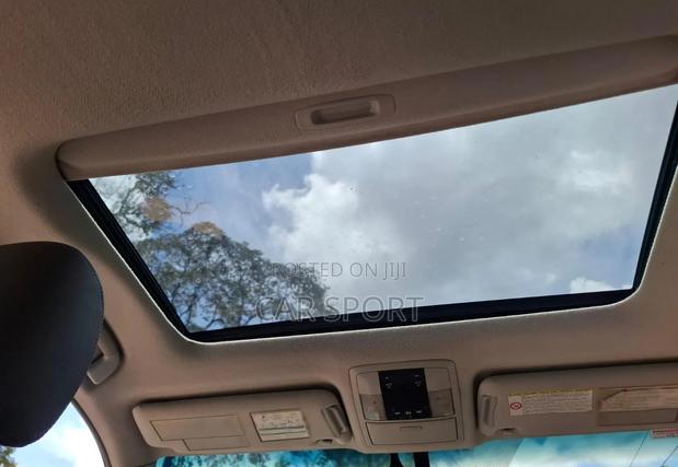 Toyota Land Cruiser 2010 Brown