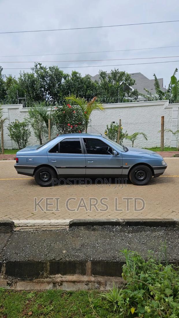 Peugeot 405 1996 Blue
