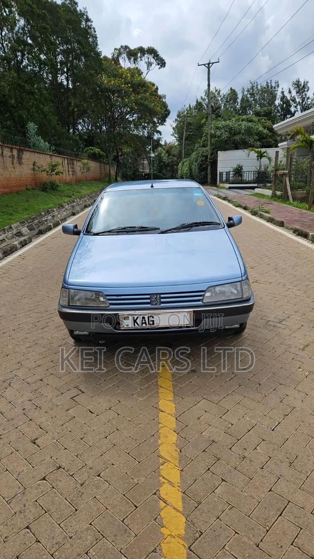 Peugeot 405 1996 Blue