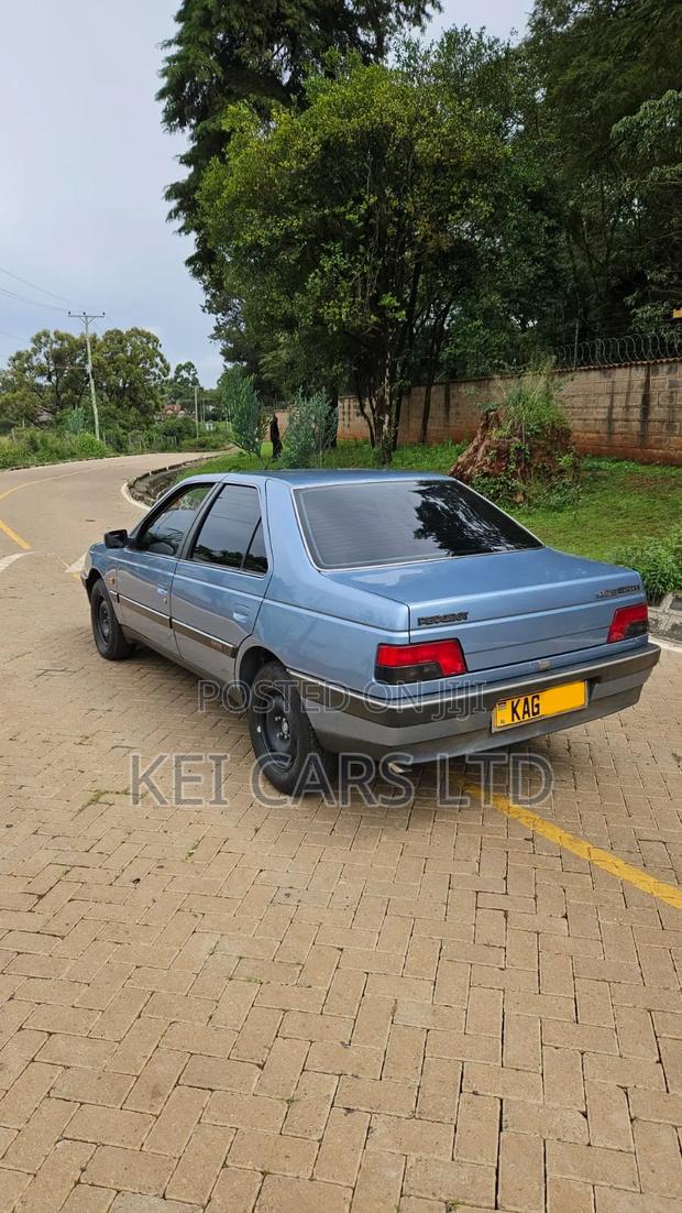 Peugeot 405 1996 Blue