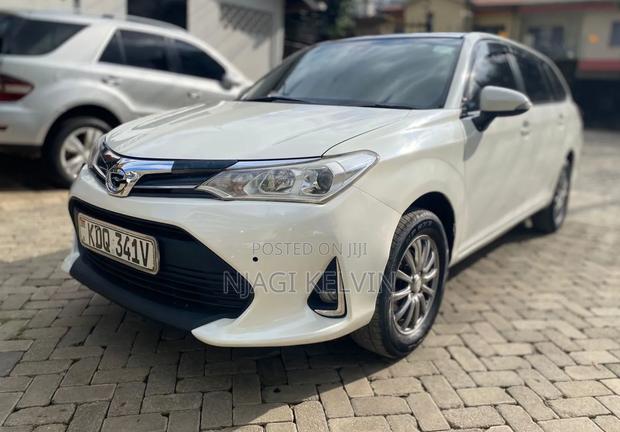 Toyota Corolla Fielder 2017 Pearl