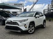 Toyota RAV4 Adventure 2019 White for sale
