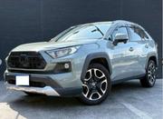 Toyota RAV4 Adventure AWD 2020 Silver for sale