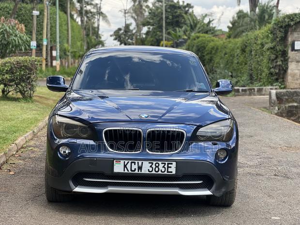 BMW X1 2010 Blue
