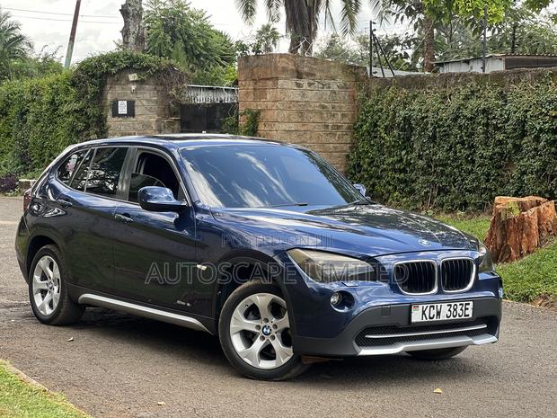 BMW X1 2010 Blue
