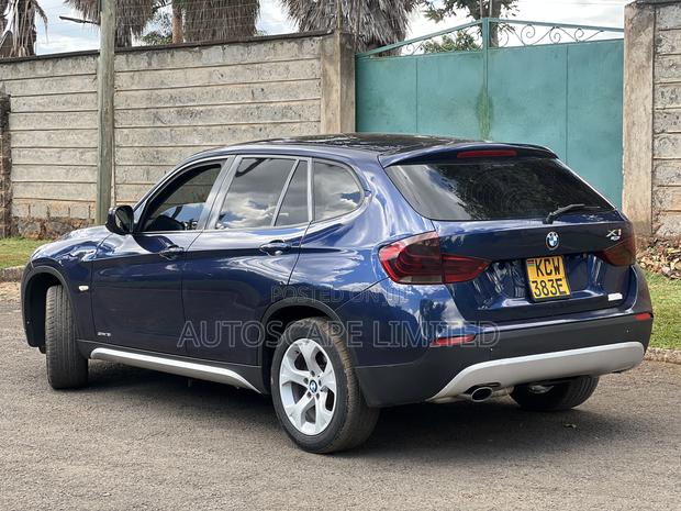BMW X1 2010 Blue