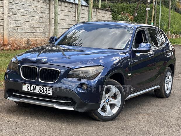 BMW X1 2010 Blue