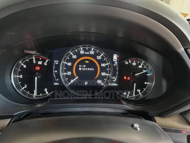 Lexus LX 500d 2024 Brown