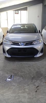Toyota Axio 2019 Gray for sale
